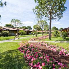 Camping del Garda - Camping Vérone