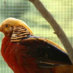 Camping Pian di Boccio - Camping Pérouse