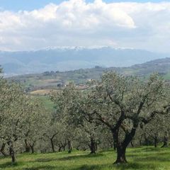 Camping Pian di Boccio - Camping Pérouse