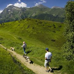 Residence Les Jardins de Balnéa - Camping Hautes-Pyrenees