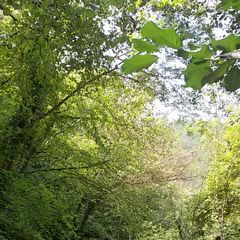 Le Sorgenti Camping Relax - Camping Florence