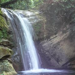 Le Sorgenti Camping Relax - Camping Florence