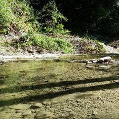 Le Sorgenti Camping Relax - Camping Florence