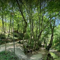 Le Sorgenti Camping Relax - Camping Florence