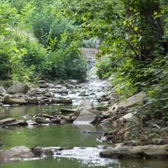 Le Sorgenti Camping Relax - Camping Florence