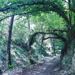 Le Sorgenti Camping Relax - Camping Florence