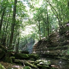 Le Sorgenti Camping Relax - Camping Florence