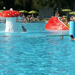 Résidence Mare e Pineta - Camping Ravenne