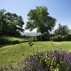 Résidence Les 4 Soleils  - Camping Vaucluse