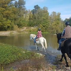 Résidence Les 4 Soleils  - Camping Vaucluse