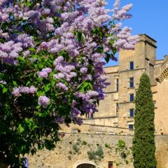 Résidence Les 4 Soleils  - Camping Vaucluse