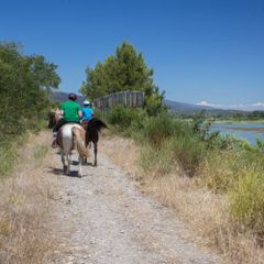 Résidence Les 4 Soleils  - Camping Vaucluse
