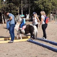 Résidence Les 4 Soleils  - Camping Vaucluse
