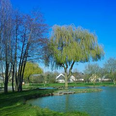 Camping de la Vegre - Camping Sarthe