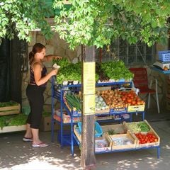 Camping Zelana Laguna - Camping Istrie