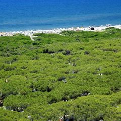 Camping Village California - Camping Viterbe