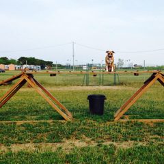 Camping Village Club degli Amici - Camping Viterbe