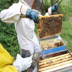 Rio Verde - Camping Pérouse