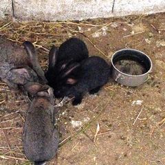 Rio Verde - Camping Pérouse