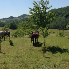 Rio Verde - Camping Pérouse