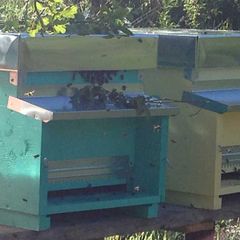 Rio Verde - Camping Pérouse