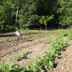 Rio Verde - Camping Pérouse