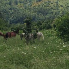 Rio Verde - Camping Pérouse