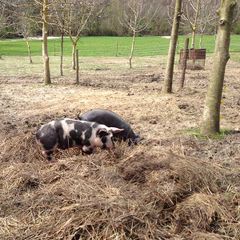 Rio Verde - Camping Pérouse