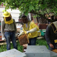 Rio Verde - Camping Pérouse
