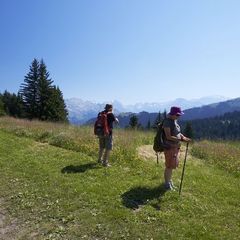 Résidence Les Chalets du Bois de Champelle - Camping Haute-Savoie