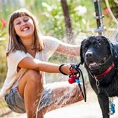 Camping Village Il Paese di Ciribi - Camping Savone