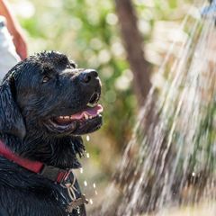 Camping Village Il Paese di Ciribi - Camping Savone