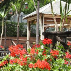 Camping Village Il Paese di Ciribi - Camping Savone