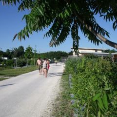Camping du Plan d'Eau - Camping Charente