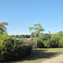 Camping du Plan d'Eau - Camping Charente