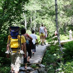 Nou Camping - Camping Lleida