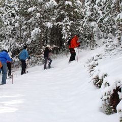 Nou Camping - Camping Lleida