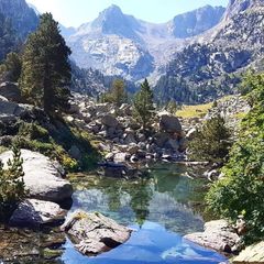 Nou Camping - Camping Lleida