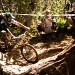 PuntAla Camping Resort - Camping Grosseto