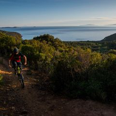 PuntAla Camping Resort - Camping Grosseto