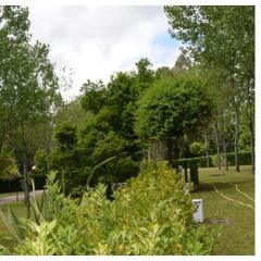 Camping Caniza - Camping Pontevedra