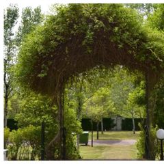 Camping Caniza - Camping Pontevedra