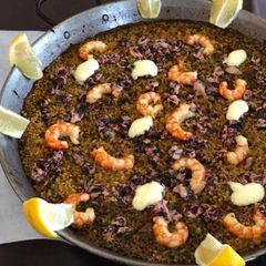 Camping Fayón Fishing - Camping Saragosse