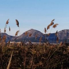 Golf Beach Apart-Hotel - Camping Gérone