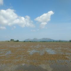 Golf Beach Apart-Hotel - Camping Gérone