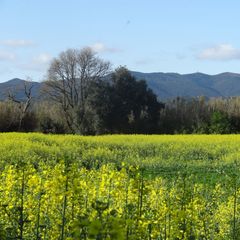 Golf Beach Apart-Hotel - Camping Gérone