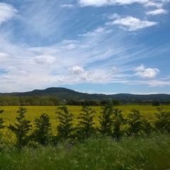 Village Golf Beach - Camping Gérone