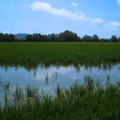 Village Golf Beach - Camping Gérone