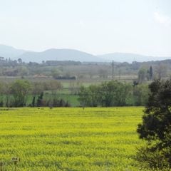 Village Golf Beach - Camping Gérone