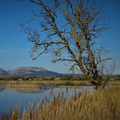 Village Golf Beach - Camping Gérone
